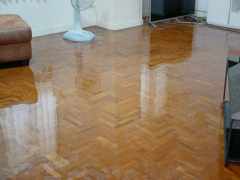 Water Damage on Bamboo Floors
